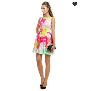 Lilly Pulitzer May Flowers Dress size 4